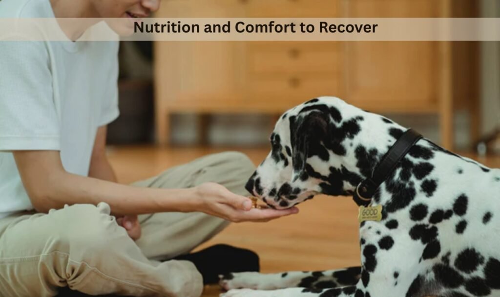 Post Operation Snacks