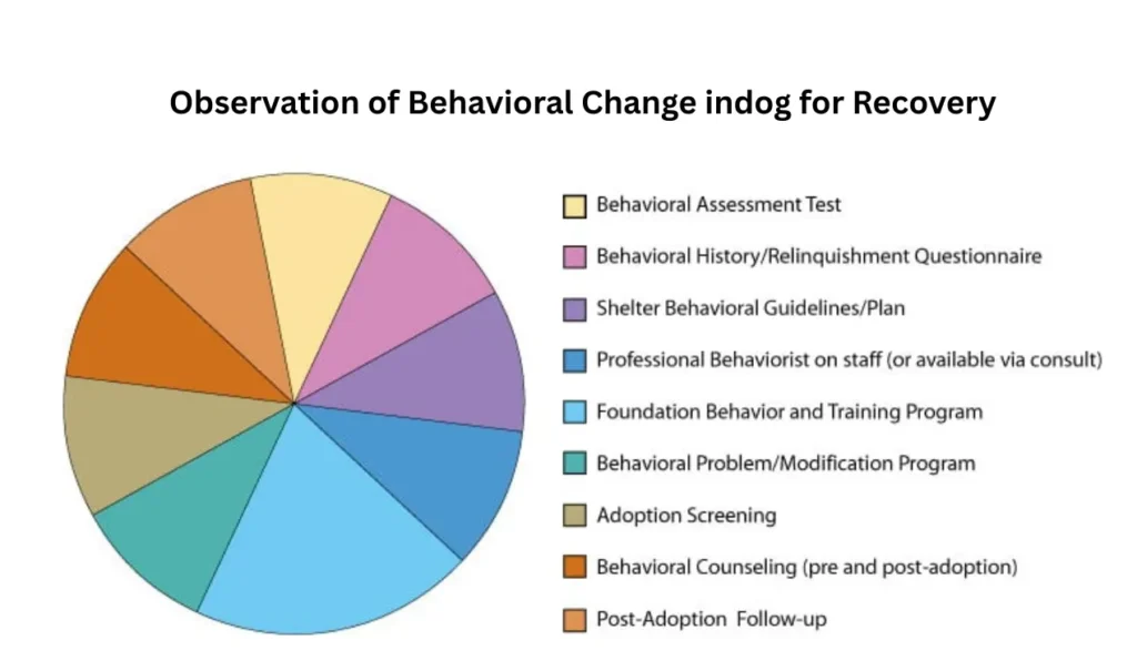 Observation of Behavioral Change