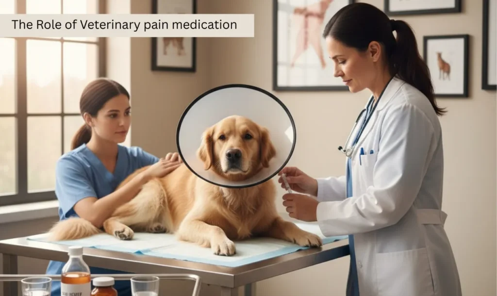 The Role of Veterinary pain medication