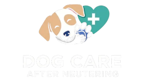 Dog Care After Neutering